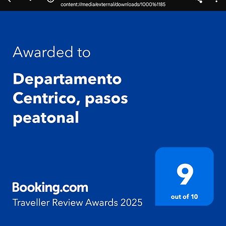 Departamento Centrico, Pasos Peatonal Apartment Mendoza Ngoại thất bức ảnh