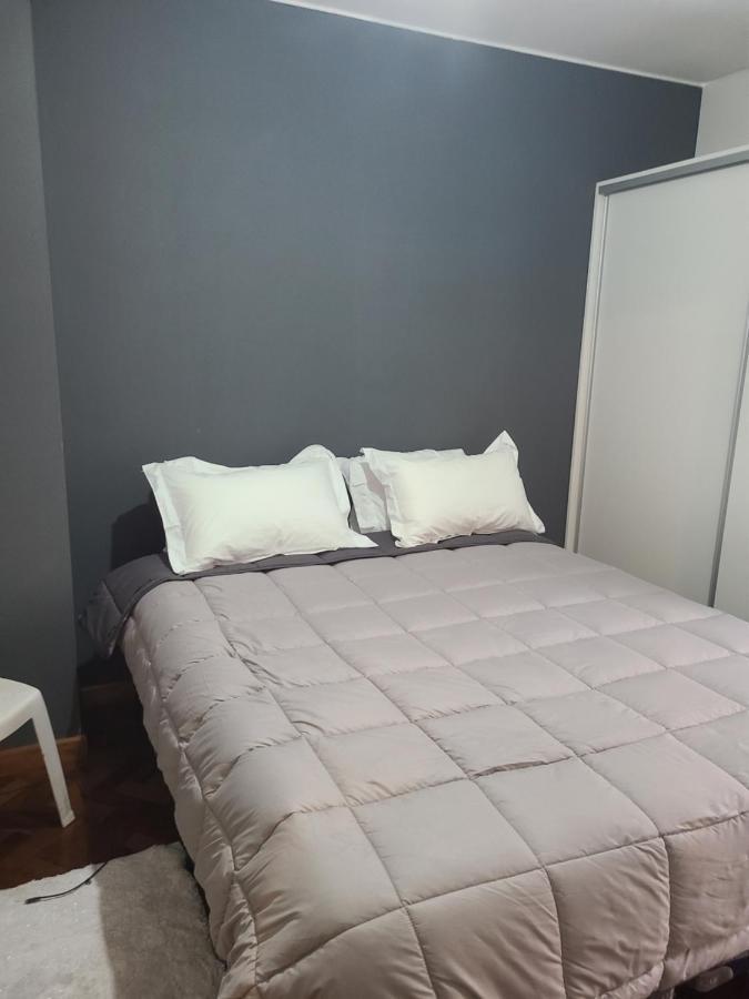 Departamento Centrico, Pasos Peatonal Apartment Mendoza Ngoại thất bức ảnh